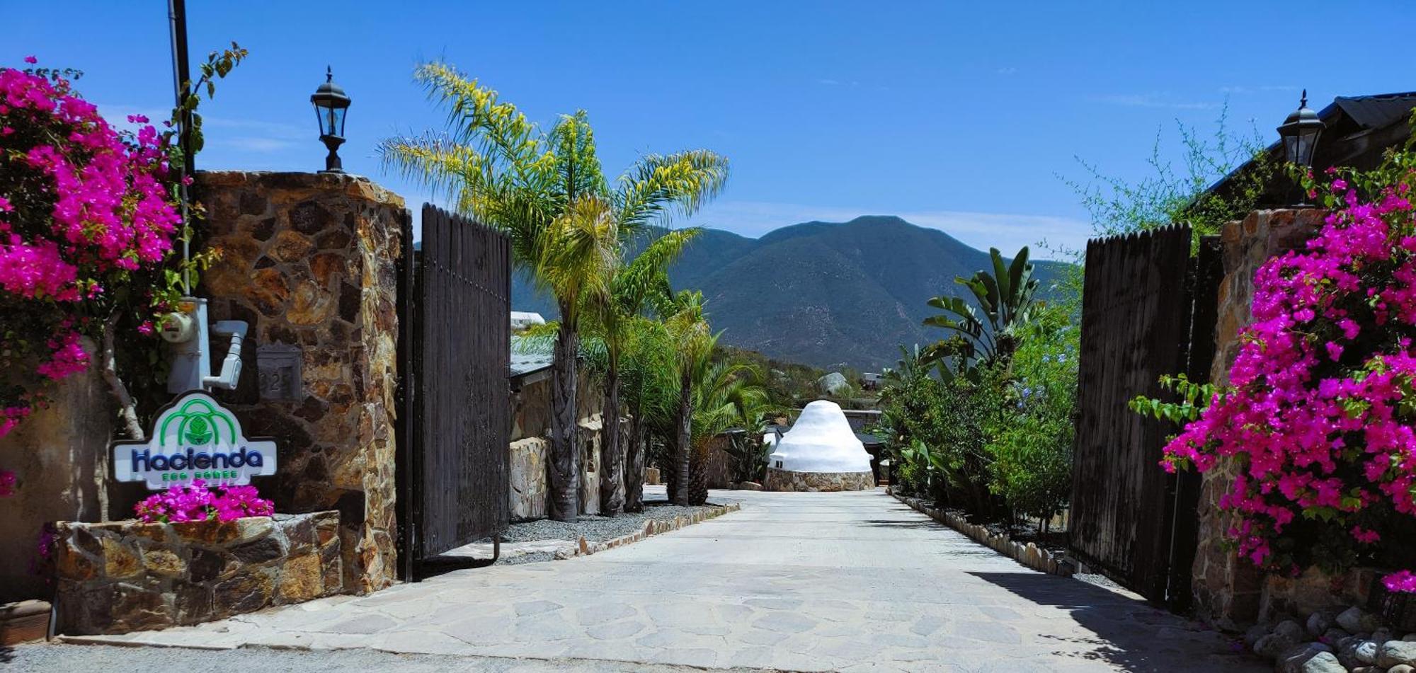 Hacienda Eco-Domes Villa Valle de Guadalupe Exterior photo